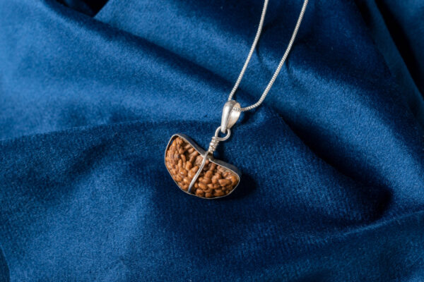 1 Mukhi Rudraksha - 4
