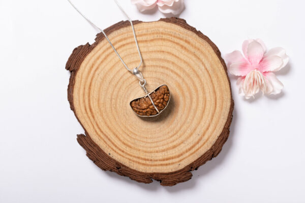 1 Mukhi Rudraksha - 5