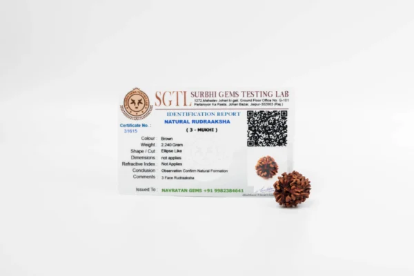 3 Mukhi Rudraksha - 3