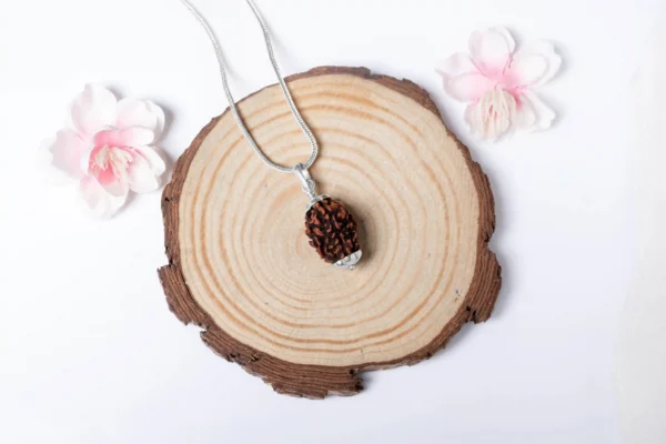 3 Mukhi Rudraksha - 5