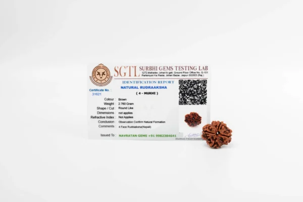 4 Mukhi Rudraksha - 3
