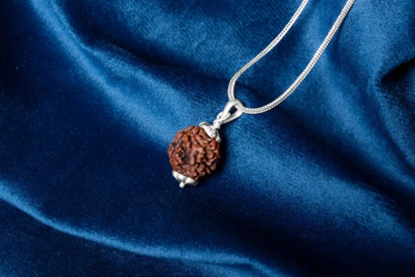 4 Mukhi Rudraksha - 4