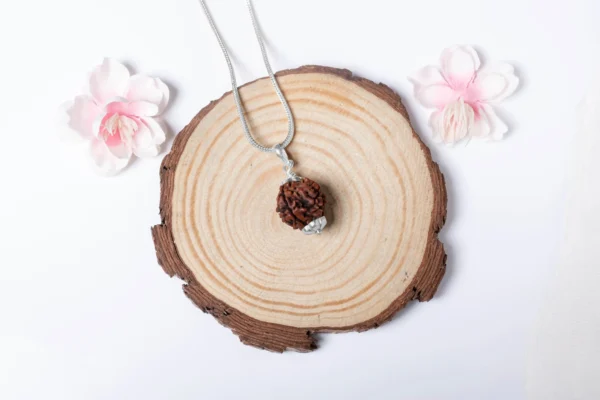 4 Mukhi Rudraksha - 5