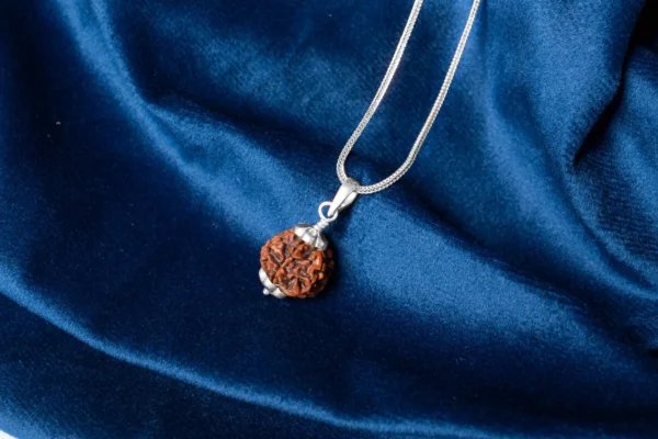 6 Mukhi Rudraksha - 4