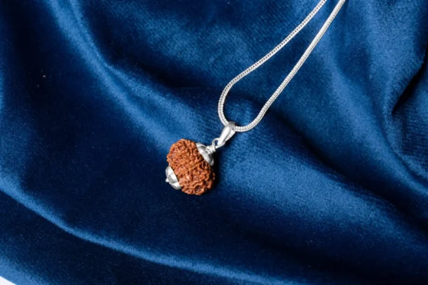 10 Mukhi Rudraksha - 4