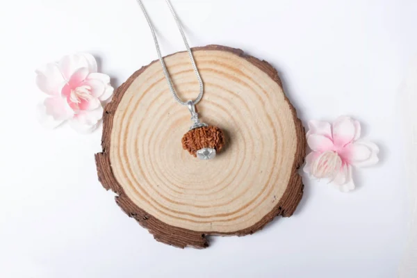 10 Mukhi Rudraksha - 5