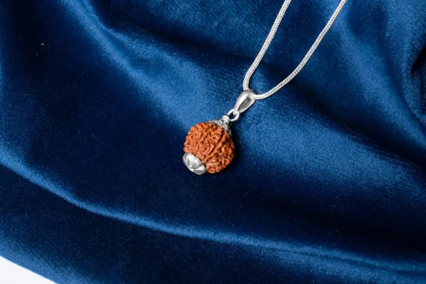 7 Mukhi Rudraksha - 4