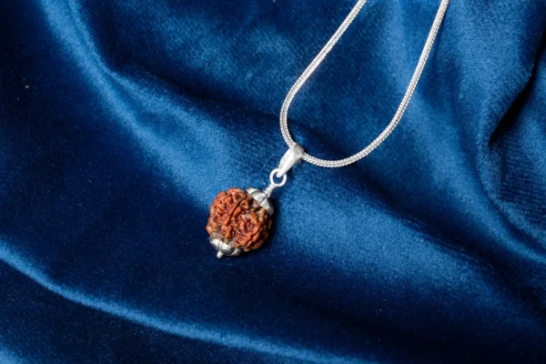 8 Mukhi Rudraksha - 4