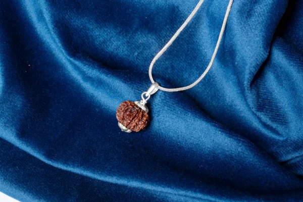 9 Mukhi Rudraksha - 4