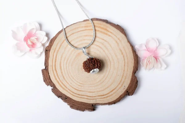 9 Mukhi Rudraksha - 5